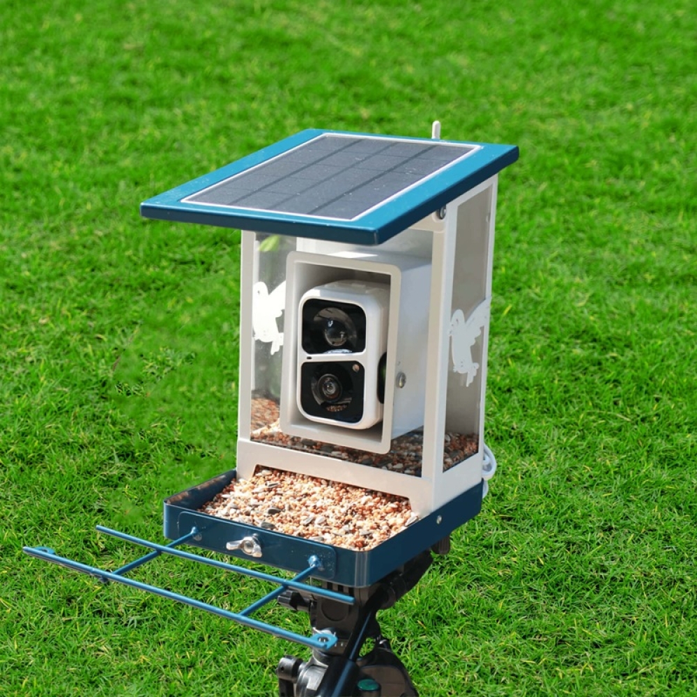 Smart Bird Feeder with Camera & App Control | Automatic Outdoor Feeding System