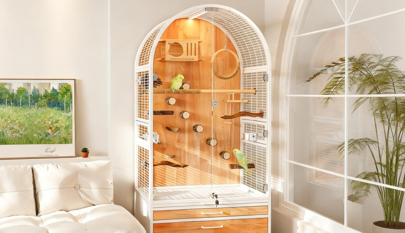 🕊️ News | A New Standard in Luxury Bird Living