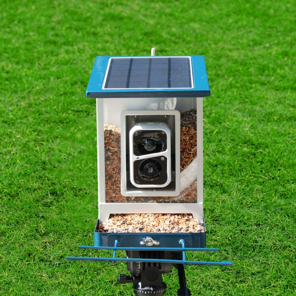 Smart Bird Feeder with Camera & App Control | Automatic Outdoor Feeding System