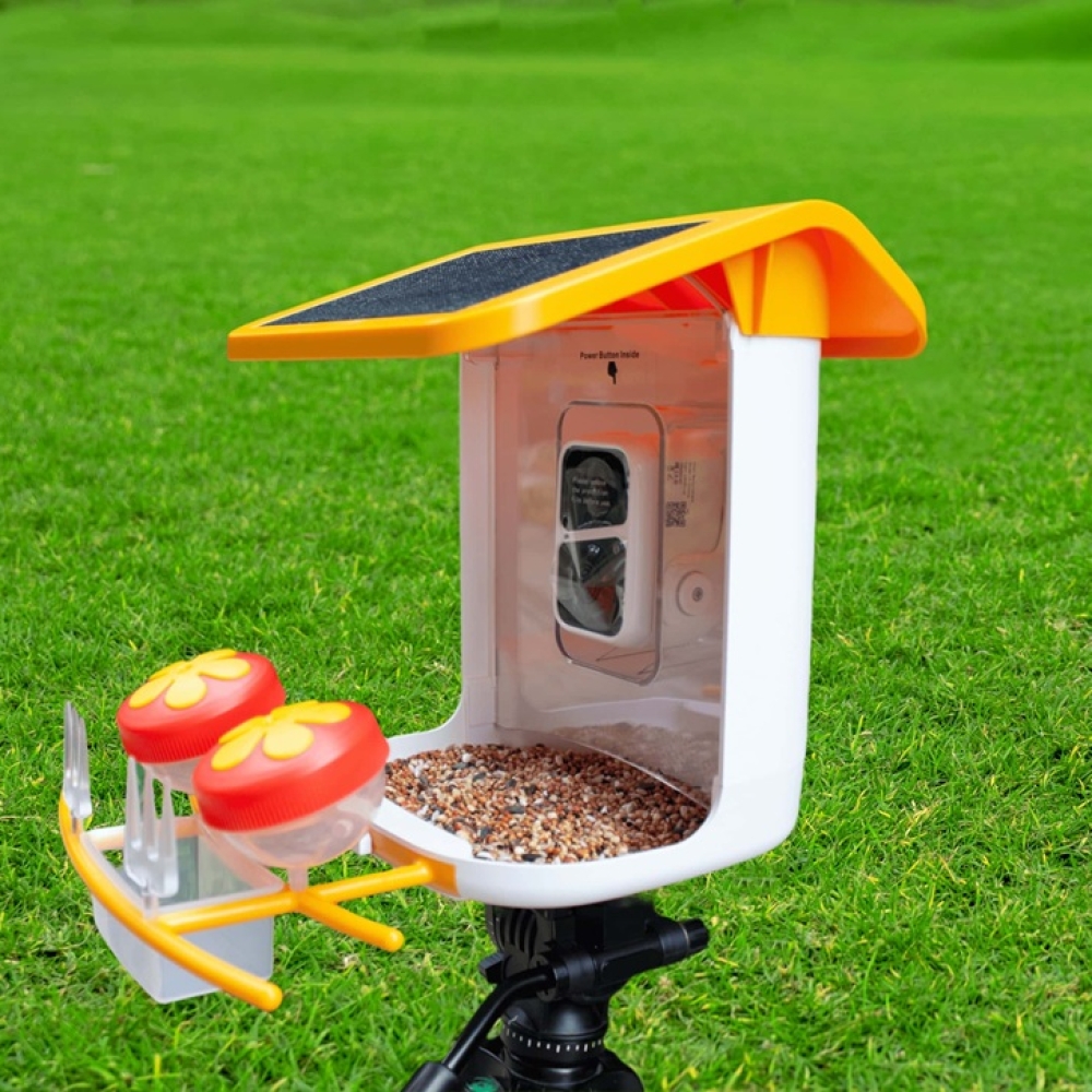 WiFi Smart Bird Feeder with Camera | Automatic Outdoor Bird Feeding Solution