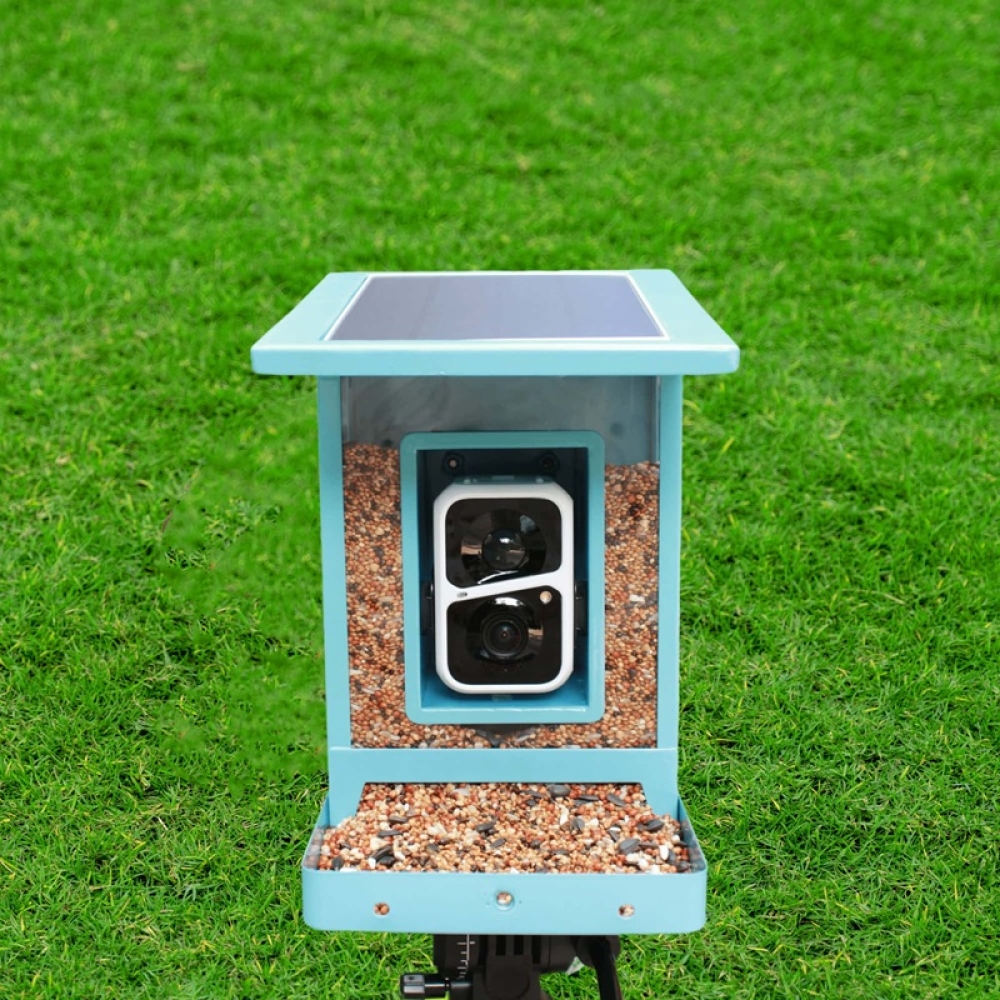 Smart Bird Feeder with HD Camera & Auto Feeding | WiFi Connected Feeder
