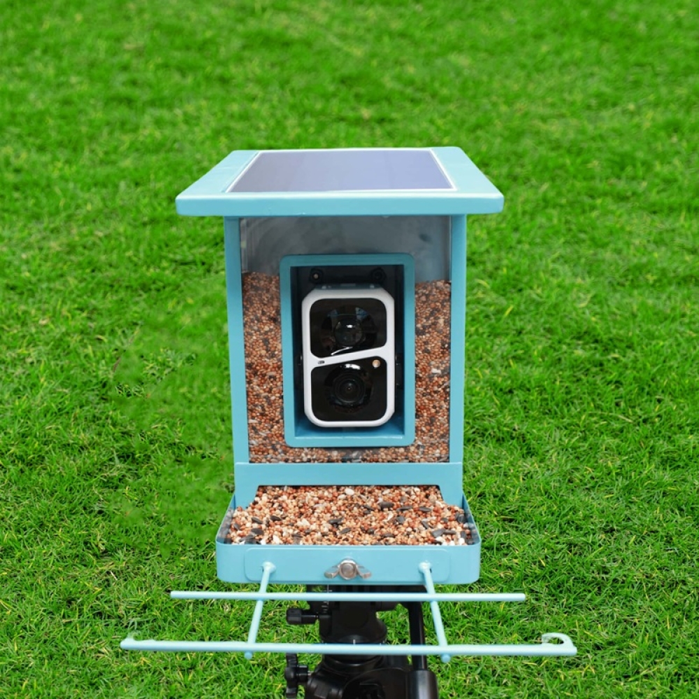 Smart Bird Feeder with HD Camera & Auto Feeding | WiFi Connected Feeder