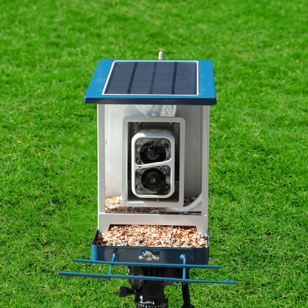 Smart Bird Feeder with Camera & App Control | Automatic Outdoor Feeding System
